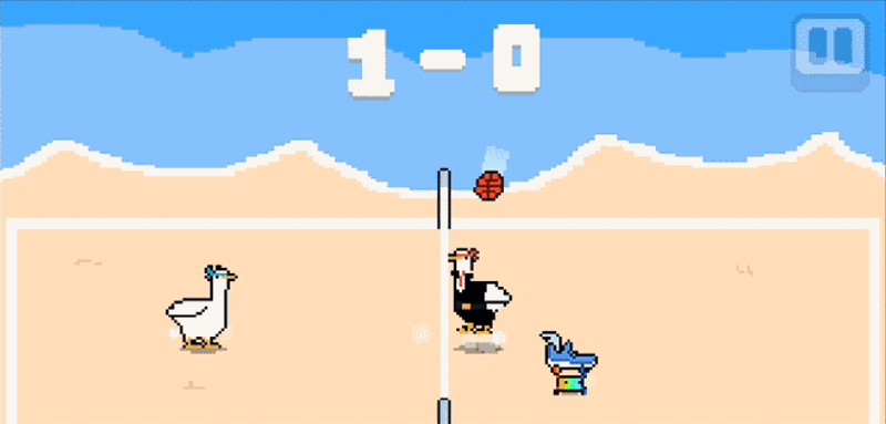 Ducky Volley Image