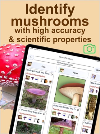 Forest Mushroom Identification screenshot