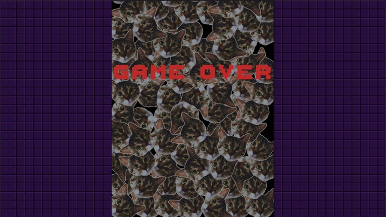 Lunyatic Invaders Image