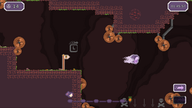 Rabbit Chase screenshot