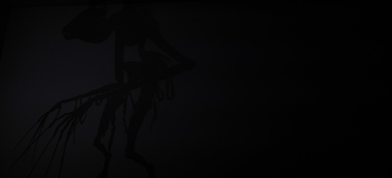 Appearances screenshot