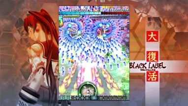 DoDonPachi Resurrection Image