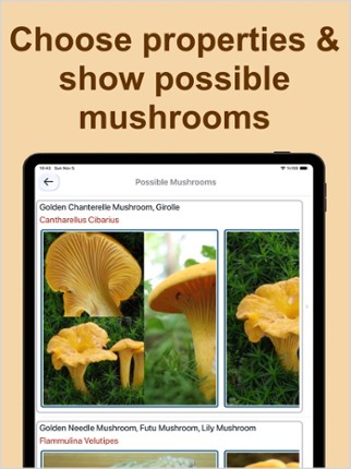Forest Mushroom Identification screenshot