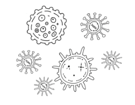 A Lymphocyte's Purpose 一个淋巴细胞的使命 Image