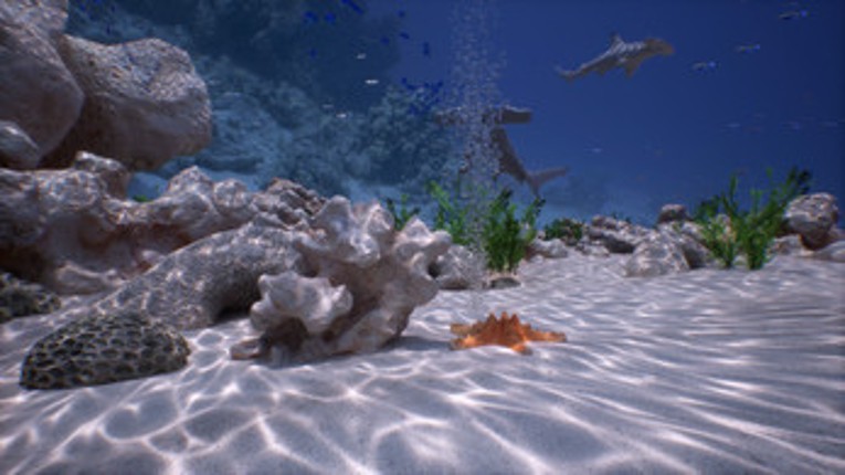 Simple-realistic Underwater VR Image