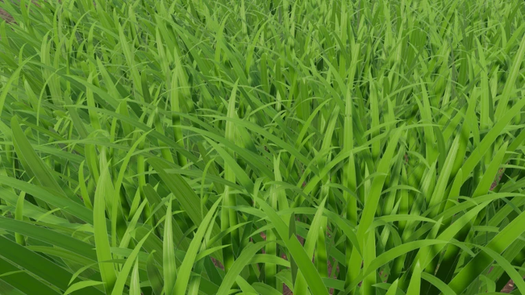 Grass Cutting Simulator Image