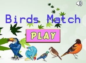 Improve Your Kids Brain With Matches Bird Cards Image