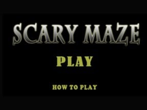 Scary Maze Image