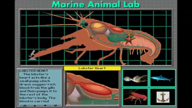 Undersea Adventure screenshot