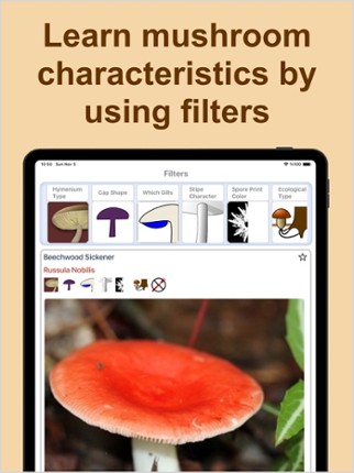 Forest Mushroom Identification screenshot