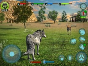 Real Wolf Adventure 3D Image