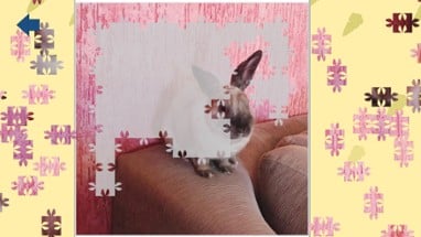 Athena, the rabbit: Jigsaw Puzzle Image