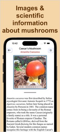 Forest Mushroom Identification screenshot
