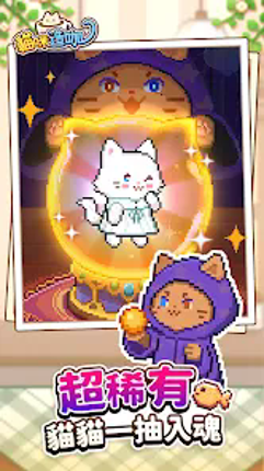 貓咪造咖-有故事的貓咪咖啡廳 screenshot