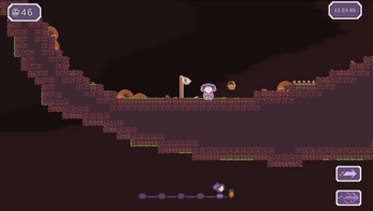 Rabbit Chase screenshot