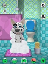 My Talking Dog – Virtual Pet Image