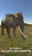 Explain 3D: Tropical and African animals FREE Image