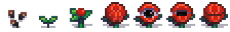 HallowTown Image