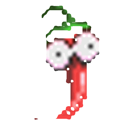 Spice of the Seasons Image