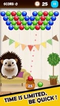 Hedgehog Bubble Shooter Image