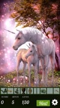 Hidden Object - Unicorns Illustrated Image