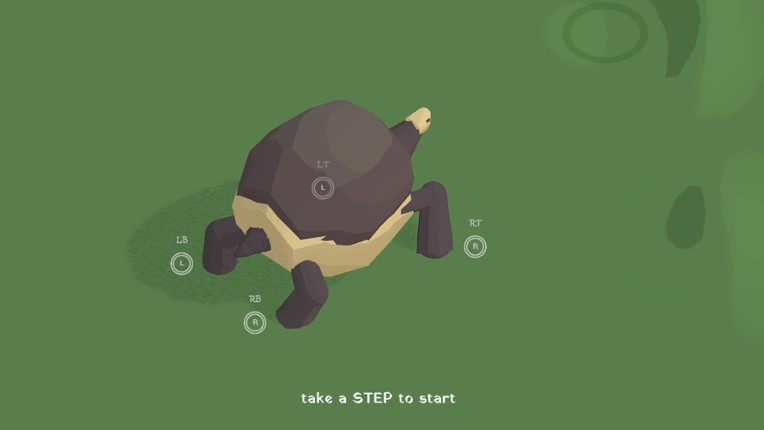 the art of Tortoise Walking Image