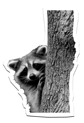 Trash Pals Image