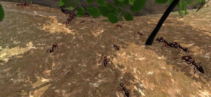 Ant Simulation 3D screenshot