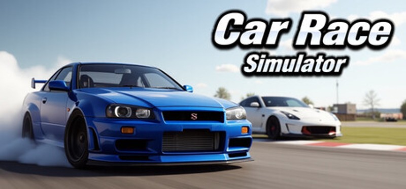 Car Race Simulator Image