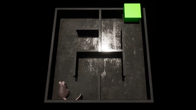 Deep Maze screenshot