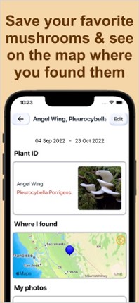Forest Mushroom Identification screenshot