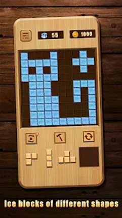 Woody Block Brain Test Image