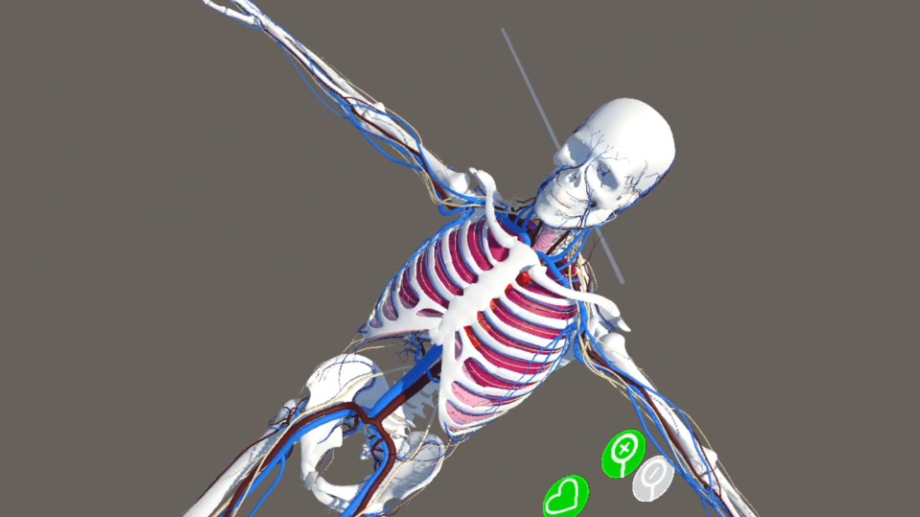 Games like Human Anatomy Viewer XR
