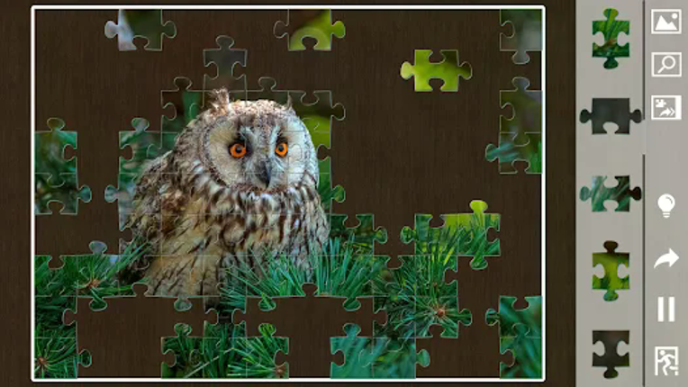 Jigsaw puzzles for everyone screenshot