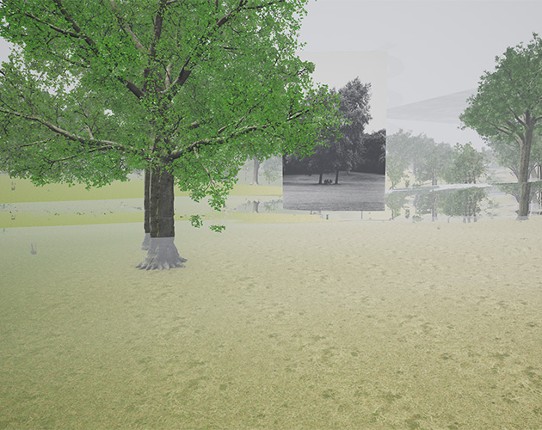 Niveaux de détail Image