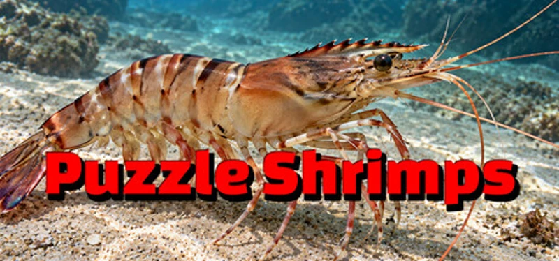 Puzzle Shrimps Image