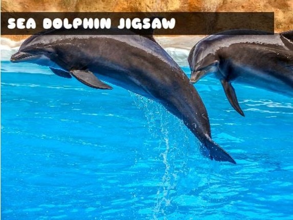 Sea Dolphin Jigsaw Image