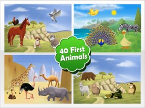 Animal Zoo Puzzles Image