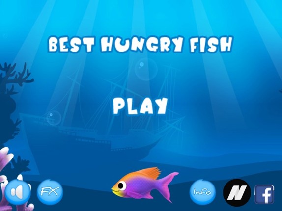 Best Hungry Fish Image