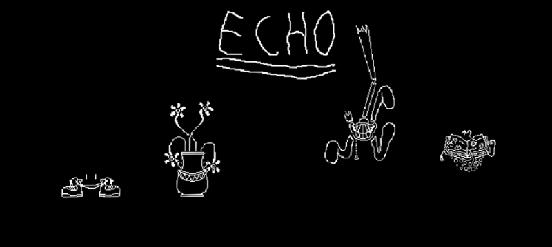 Echo Image