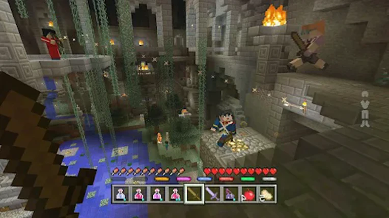 Minicraft: Block Craftarena 3D Image