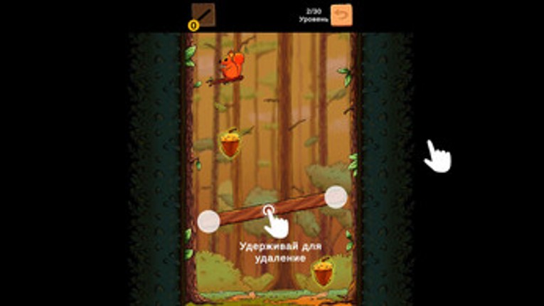Squirrel Fall Image
