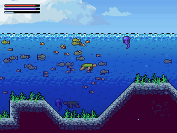 The Last Turtle Image