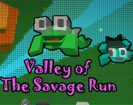 Valley of The Savage Run Image