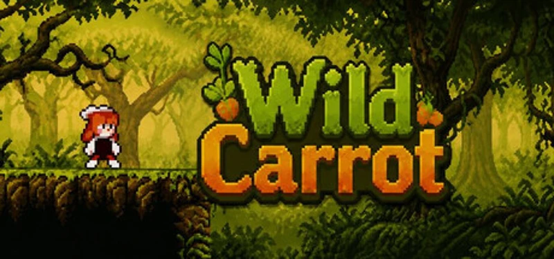 Wild Carrot Image