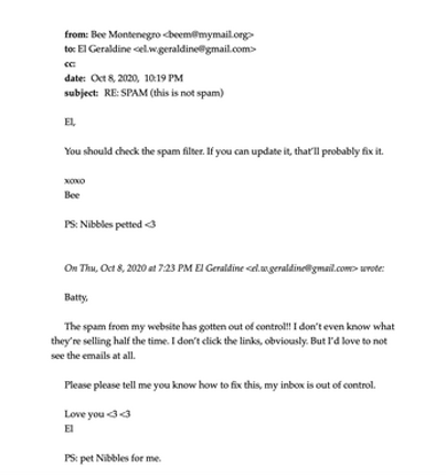 ATTN: Contact from the Website screenshot