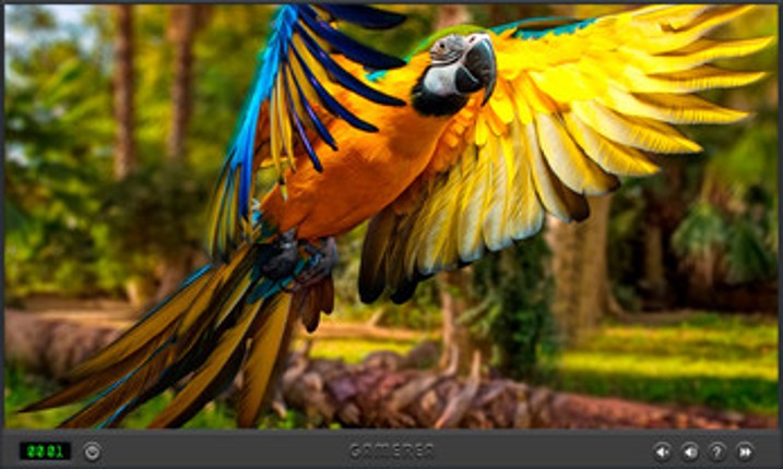 Animals Of The World Image