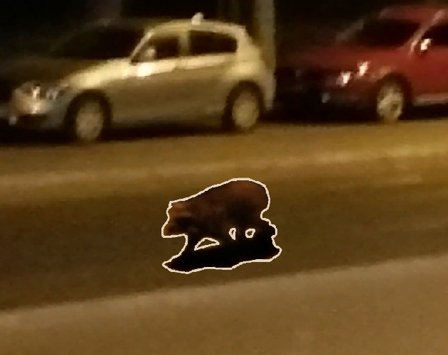 Games like prayer for a raccoon