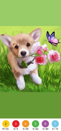 Wonder Color - Color by Number Image