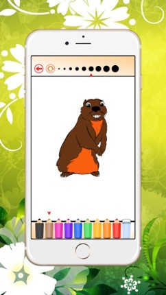 Zoo Safari Coloring Book Animal for Kids Image
